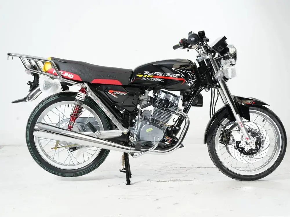 SUPERGATO CG 250 2025