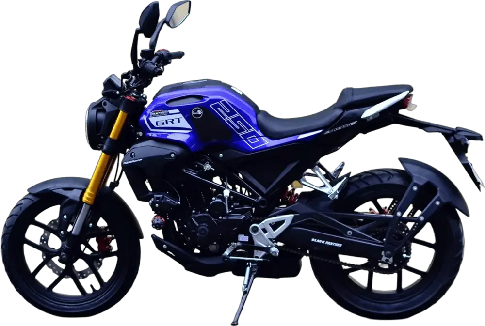 BLACK PANTHER GTR 250 2026