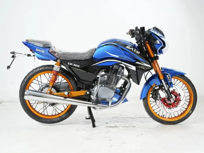 SUPERGATO CG 300 2025