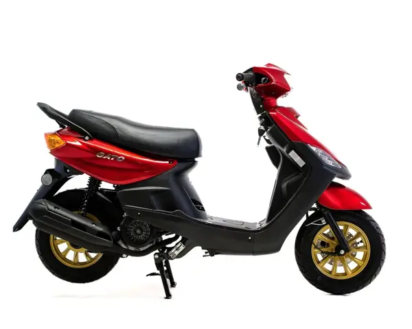 SUPERGATO Jog 100
