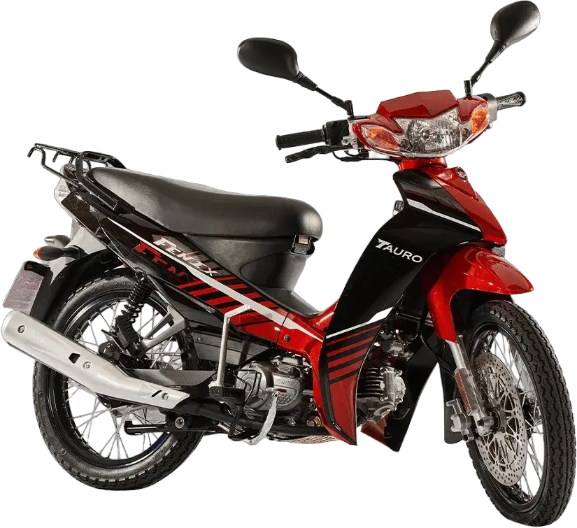 TAURO Fenix 110 2025