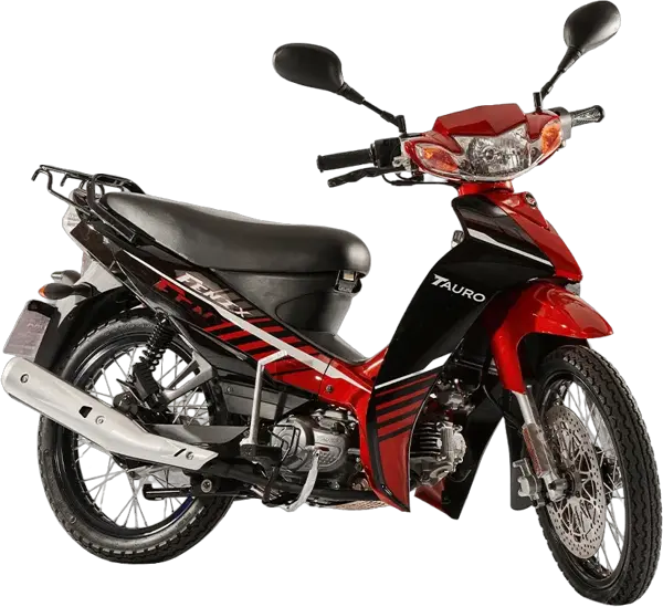 TAURO Fenix 110