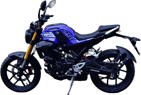 BLACK PANTHER GTR 250