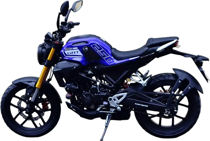 BLACK PANTHER GTR 250 2026