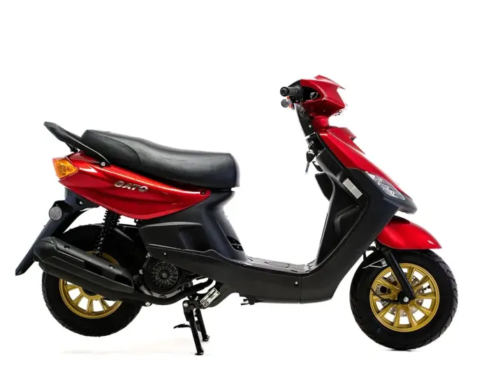 SUPERGATO Jog 100 2025